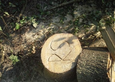 Hoveniersbedrijf Robert Sterk Hilversum oa Tuinaanleg Tuinonderhoud Tuinontwerp 282 1