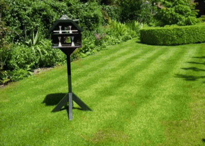 Onderhoud gazon hoveniersbedrijf Robert Sterk