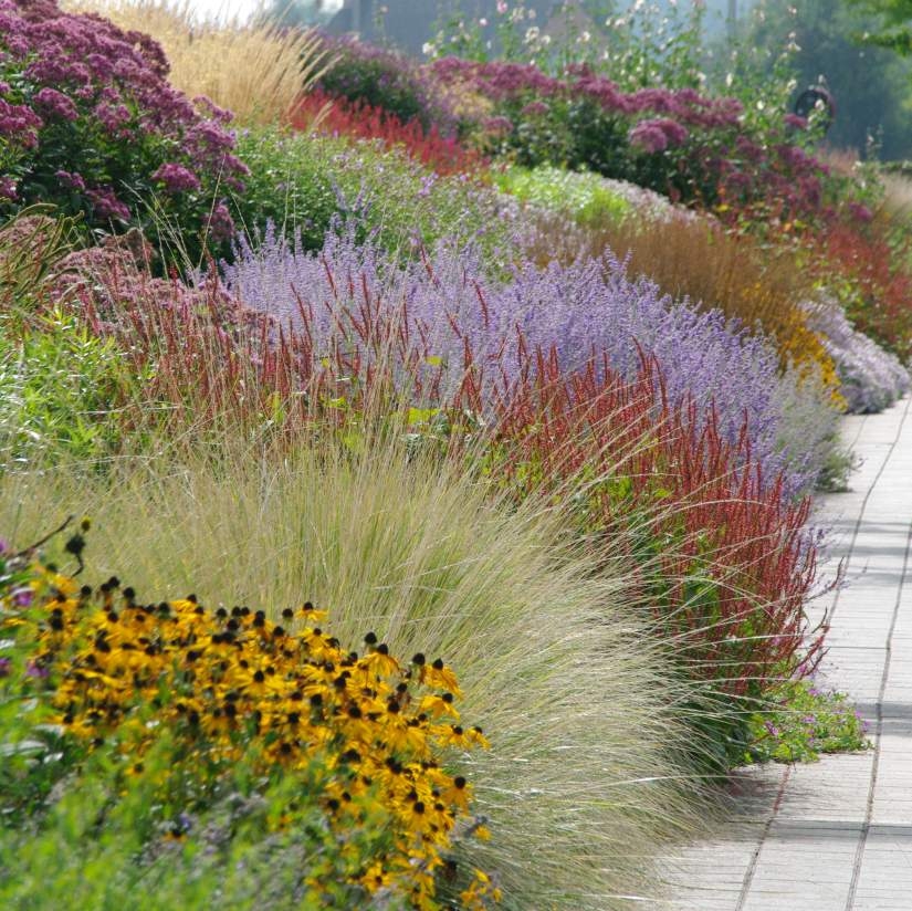 Weelderige beplanting grote groepen - Beplanting