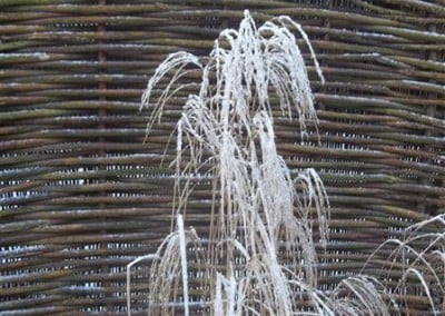 Winterbeeld Hoveniersbedrijf Robert Sterk Hilversum oa Tuinaanleg Tuinonderhoud Tuinontwerp 4