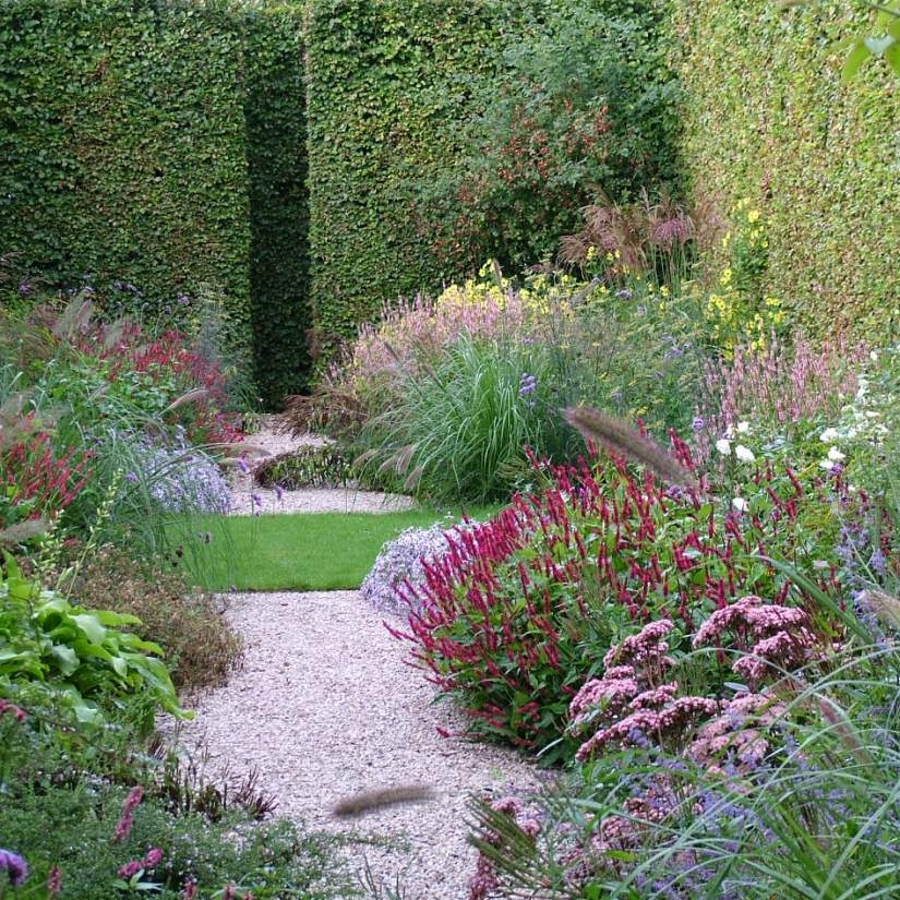 minimalistische tuin05 - Beplanting