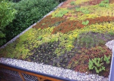 Cedum dak hoveniersbedrijf Robert Sterk Hilversum 1