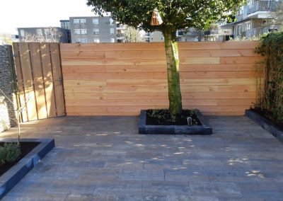 boomplanten (5) tuin aanleg Hilversum