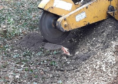 frezen tuin aanleg Hilversum