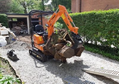 stronken verwijderen hoveniersbedrijfrobertsterk hilversum