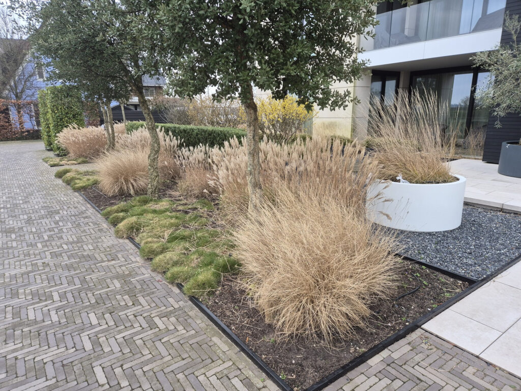 Beplanting planten Hoveniersbedrijf Robert Sterk 1 - Beplanting