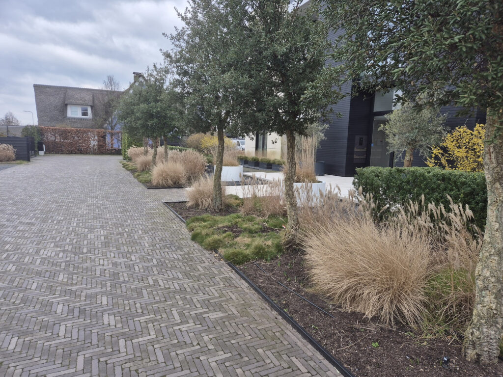 Beplanting planten Hoveniersbedrijf Robert Sterk 10 - Beplanting