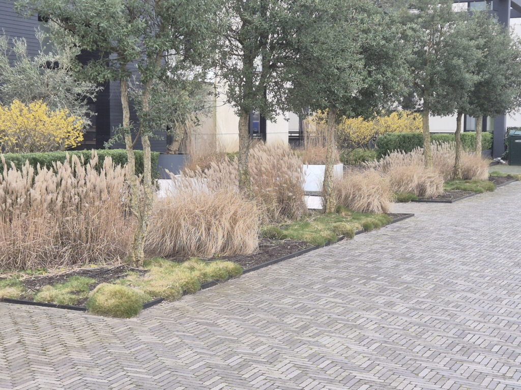 Beplanting planten Hoveniersbedrijf Robert Sterk 12 - Beplanting