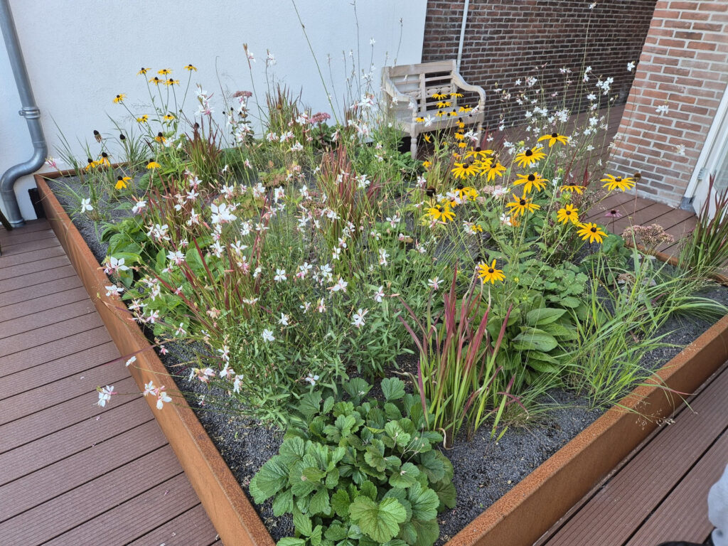 Beplanting planten Hoveniersbedrijf Robert Sterk 17 - Beplanting