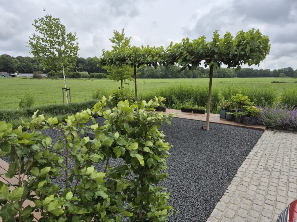 Beplanting planten Hoveniersbedrijf Robert Sterk 4 - Beplanting