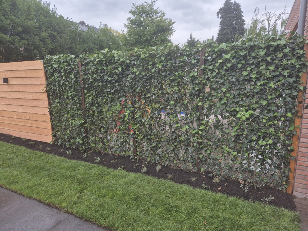 Haag Hoveniersbedrijf Robert Sterk Hilversum 7 - Haag