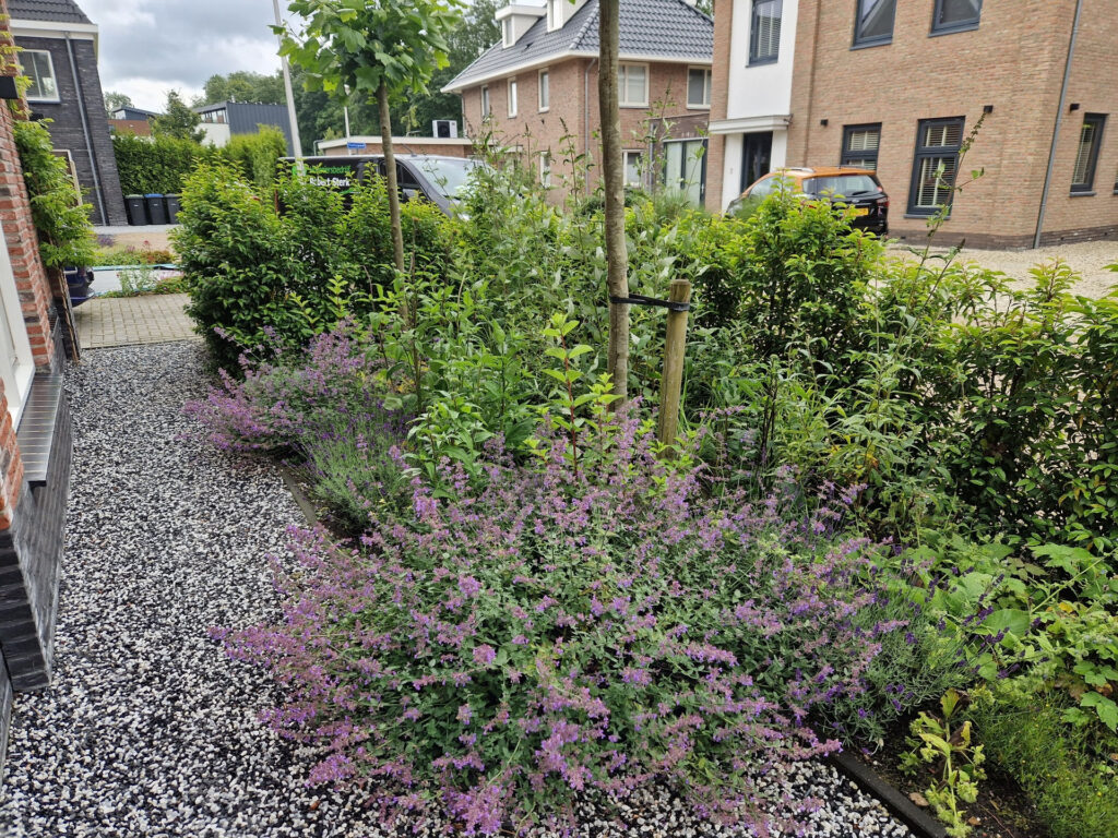 Planten 3 - Beplanting