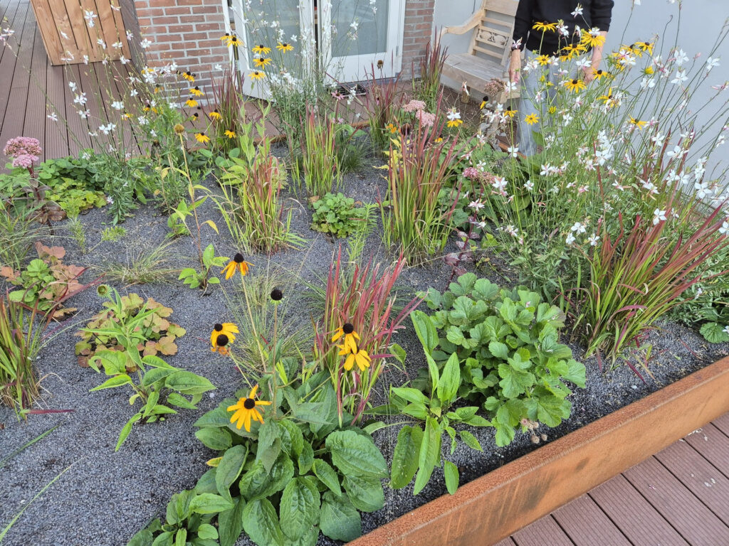 Planten 4 - Beplanting